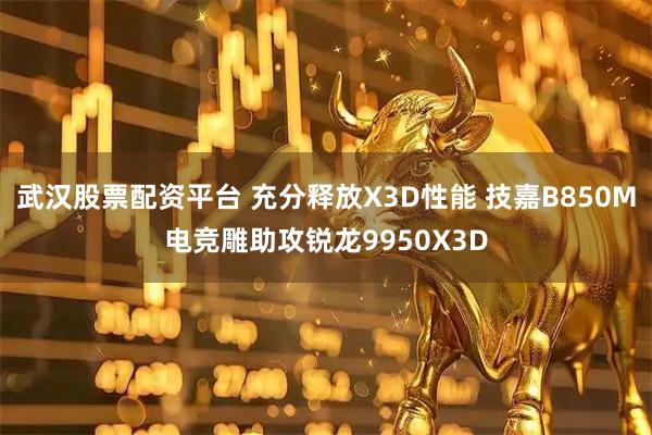 武汉股票配资平台 充分释放X3D性能 技嘉B850M电竞雕助攻锐龙9950X3D