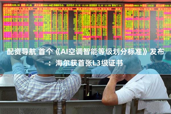 配资导航 首个《AI空调智能等级划分标准》发布：海尔获首张L3级证书